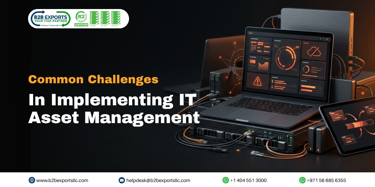 Common challenges in implementing ITAM b2b exports llc