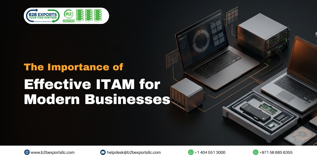 Importance of effective ITAM b2b exports llc